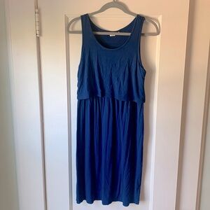 Blue Gap Maternity/Nursing Dress